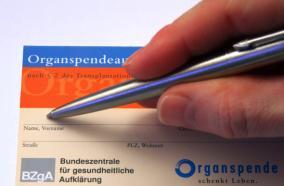 Organspendeausweis