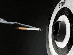  (c) Barbara Eckholdt / pixelio.de