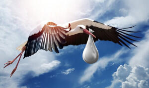 Künstliche Befruchtung bei Kinderwunsch  ,  (c) SarahRichterArt / pixabay / CC0