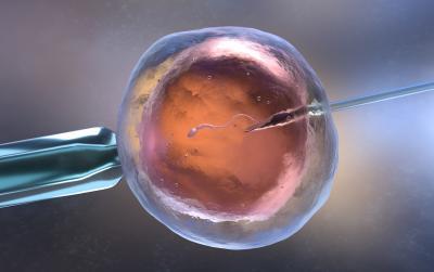 Künstliche befruchtung ( Kinderwunschbehandlung ) & Krankenkasse ,  (c) Getty Images / iLexx