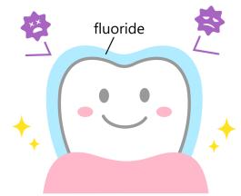 Fluoride fördern die Remineralisation im Zahnschmelz