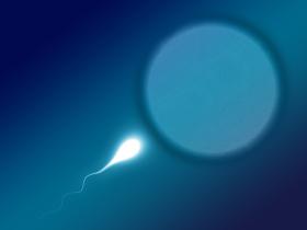 Wirkprinzip Pille: Hormone verhindern den Kontakt von Spermium und Eizelle