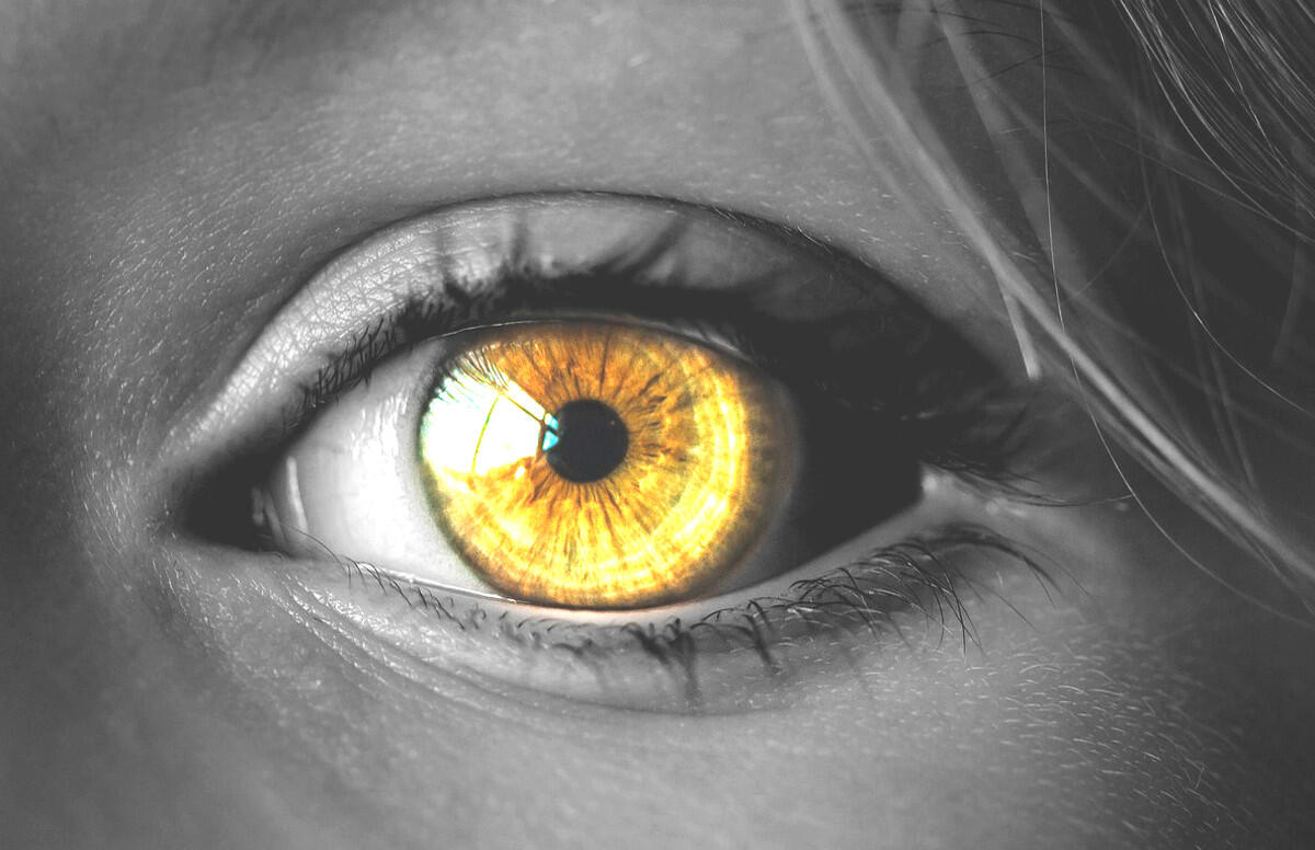 Augenkrankheit Grauer Star 