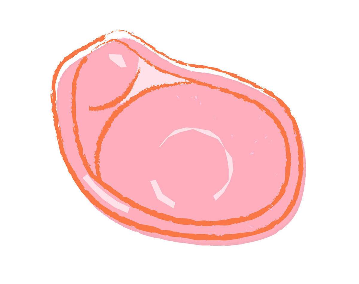 Hormonfreie Verhütung mit einem Diaphragma Hormonfreie Verhütung mit einem Diaphragma