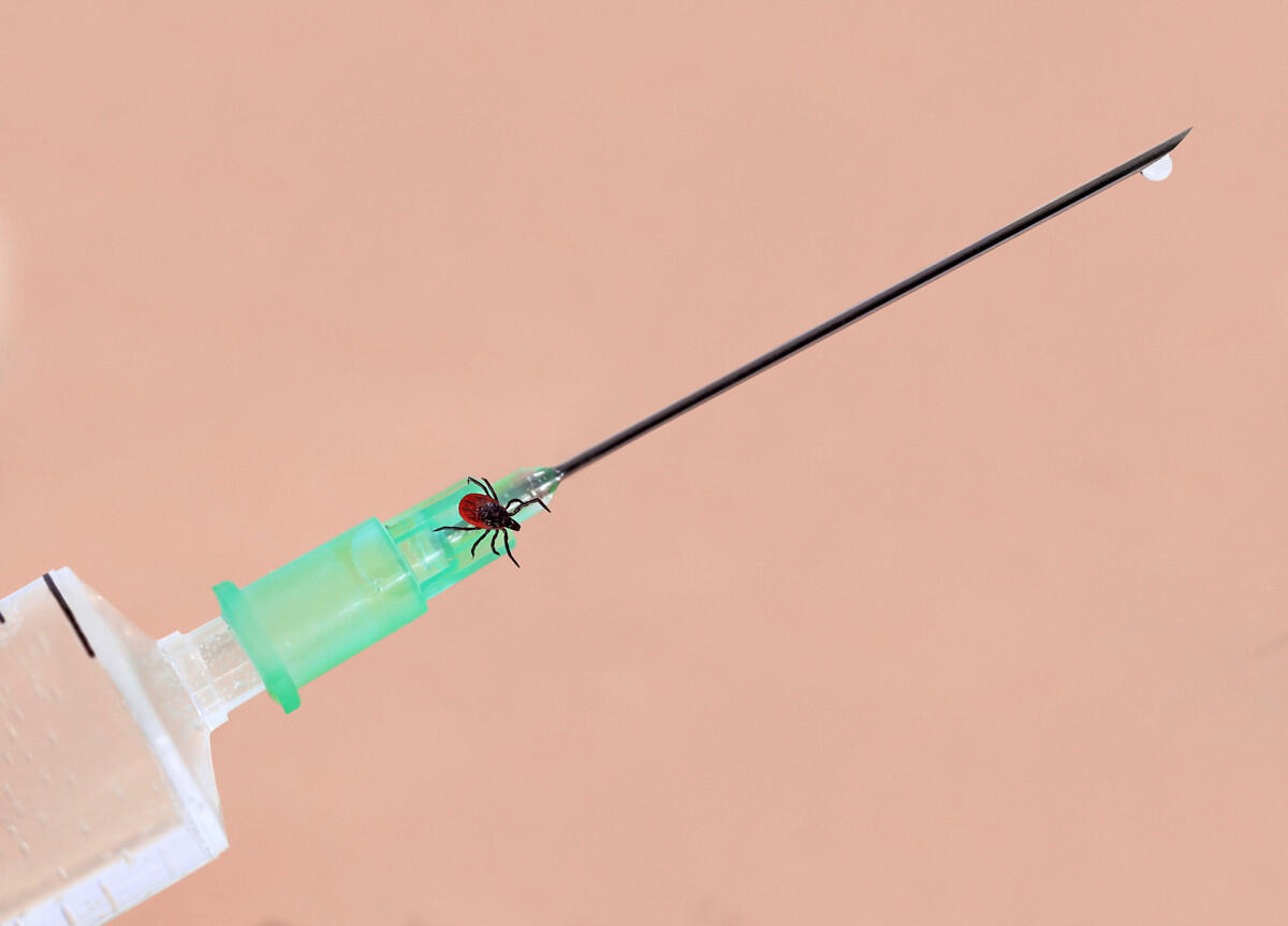 Impfschutz gegen FSME