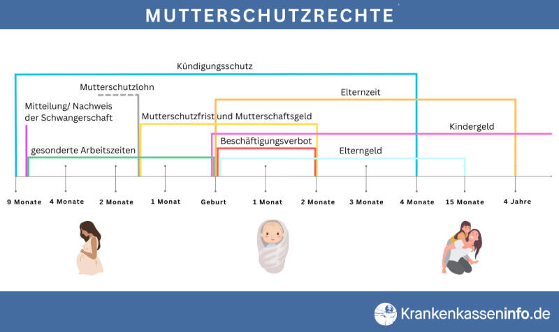 Mutterschutz - Zeitstrahl und Gesetze