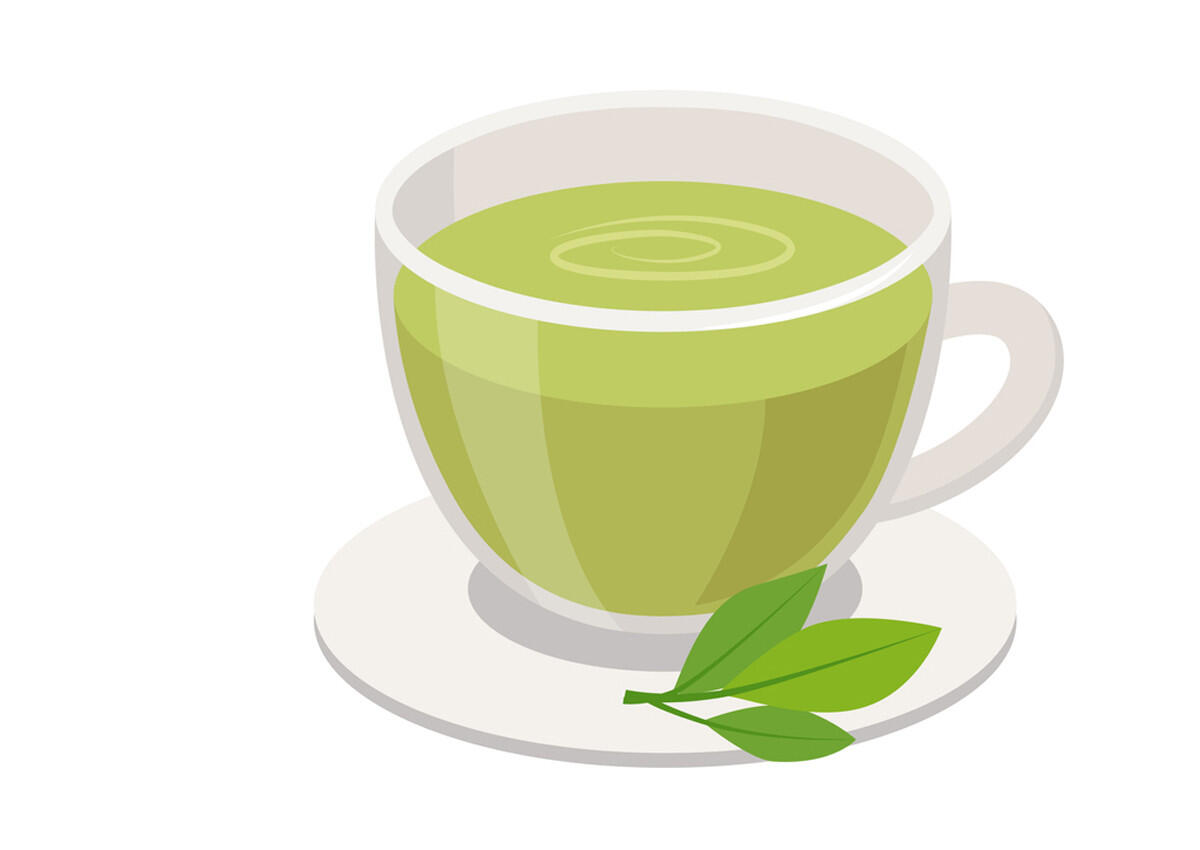 Grüner Tee und seine Wirkung für das Immunsystem Grüner Tee und seine Wirkung für das Immunsystem