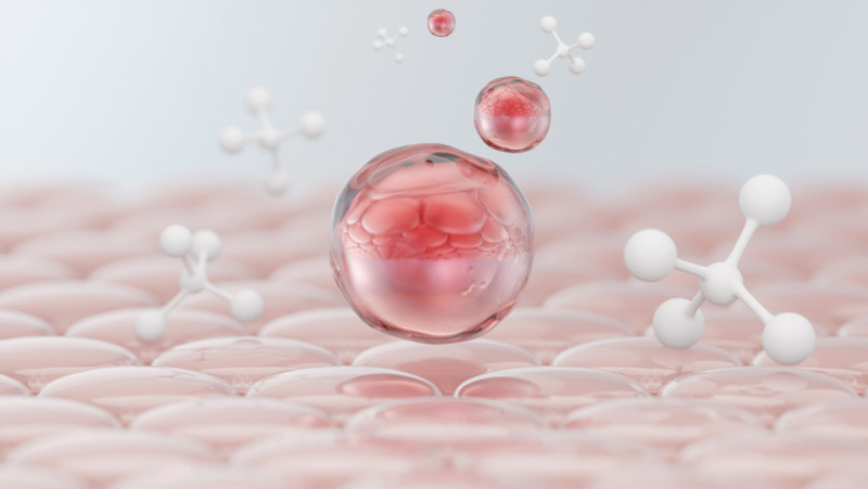 Stammzellen aus Nabelschnurblut 