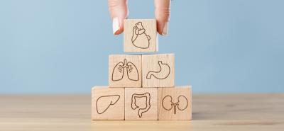 Debatte um Organspende: Zustimmungslösung oder Widerspruchslösung,  (c) getty Images / eternalcreative