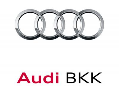 Bild zum Beitrag Jubiläumsfeier der Audi BKK