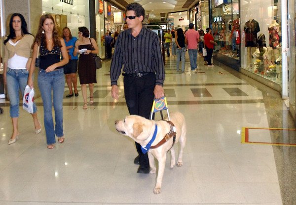 Mann mit Blindenführerhund 