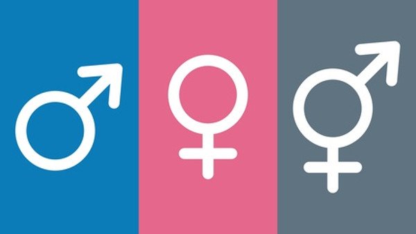Geschlecht divers - Trans- und Intersexalität