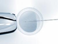 IVF-verfahren bei Kinderwunsch