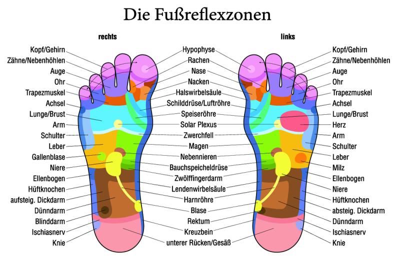 Übersicht über die Fußreflexzonen 
