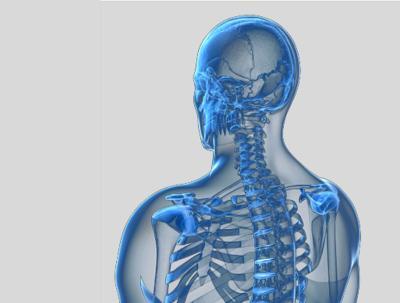 Wie viele Knochen hat ein Mensch? , 