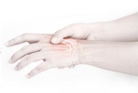 Hände und Knochenbau 