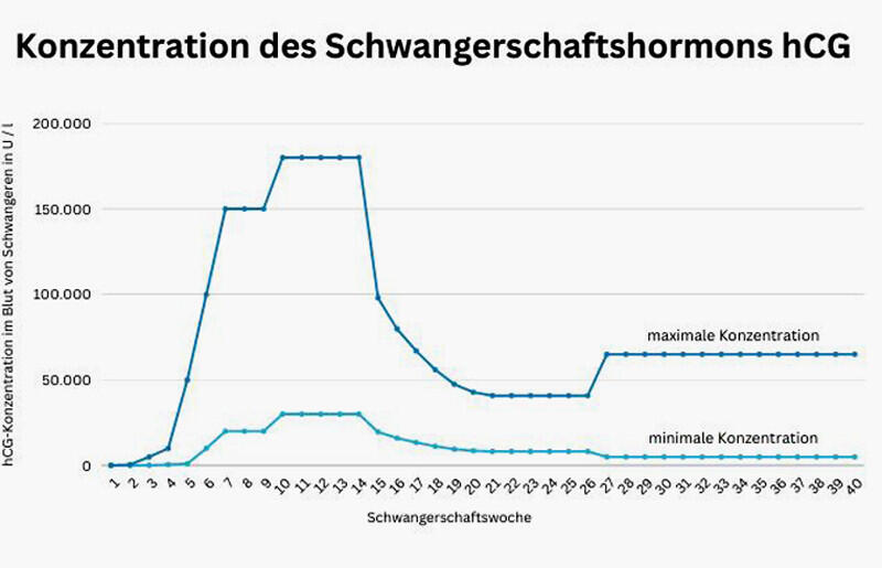 Konzentration des Schwangerschaftshormons hCG im Blut 