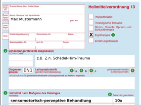 Beispiel-Verordnung für Ergotherapie