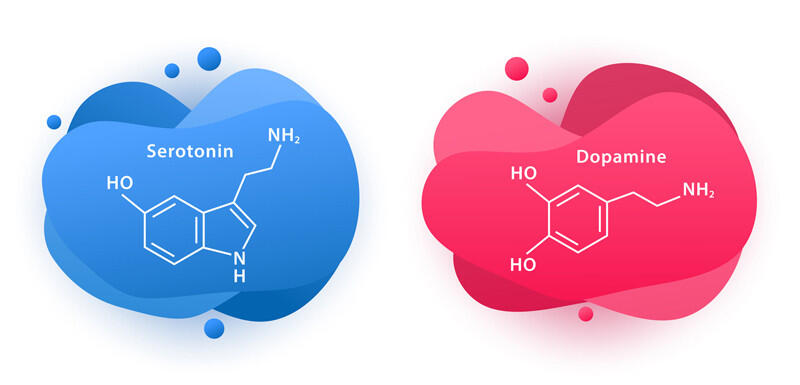 Neurotransmitter als Faktoren für Depression