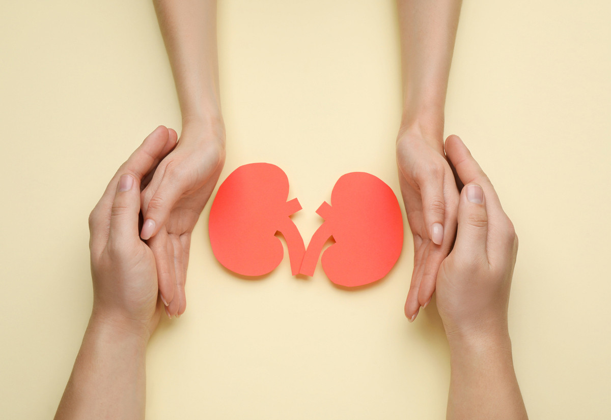 Lebendspende einer Niere f&uuml;r Organtransplantation 